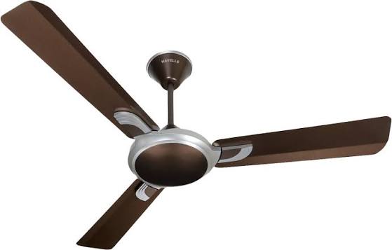 Fans at Best Electronic Shop in Dimapur